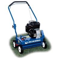 Rental store for thatcher lawn 5 hp walkbhnd in Tri-County Area